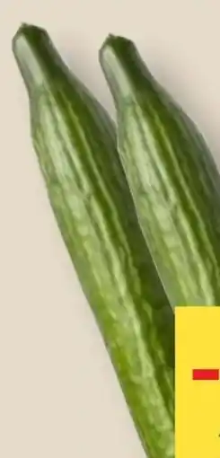 MPreis Gurken Angebot