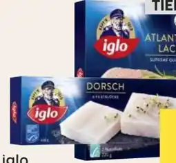 MPreis Premium Atlantik Lachs Angebot