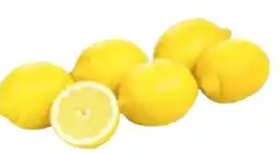 Transgourmet Bio Zitronen Angebot