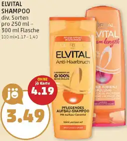 PENNY Elvital shampoo Angebot