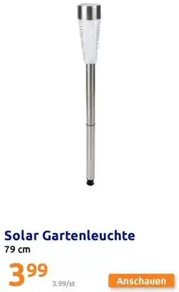 Action Solar gartenleuchte Angebot