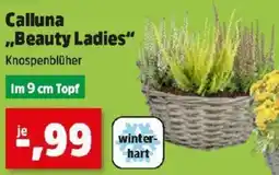 Thomas Philipps Calluna Beauty Ladies Angebot