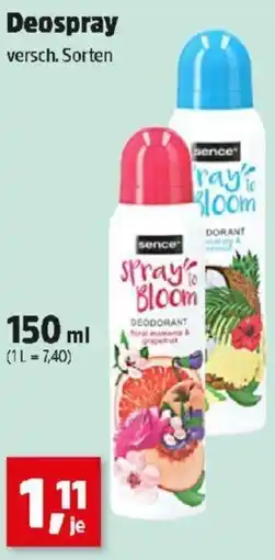 Thomas Philipps Deospray Angebot