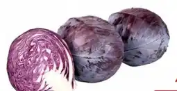 Transgourmet Rotkraut Angebot