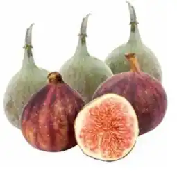 Transgourmet Feigen Angebot