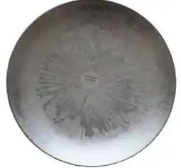 Transgourmet Teller Angebot