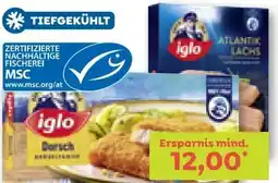 ADEG Dorsch Angebot