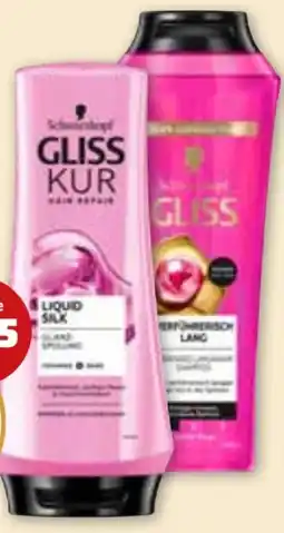 PENNY Gliss Kur Shampoo Angebot