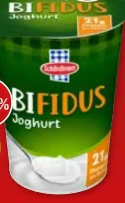 PENNY Bifidus Joghurt Angebot