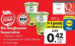 Lidl Bio Bergbauern Sauerrahm Angebot