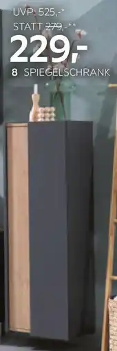XXXLutz SPIEGELSCHRANK Angebot