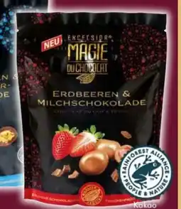 Norma Schokolierte Trockenfrüchte Angebot