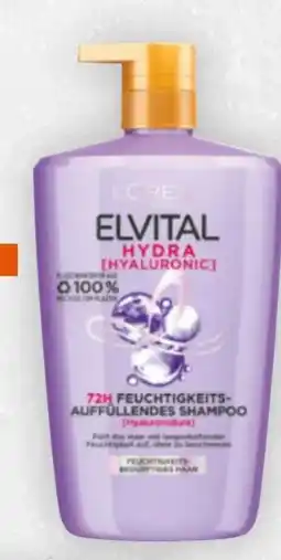 Billa Elvital Shampoo Angebot