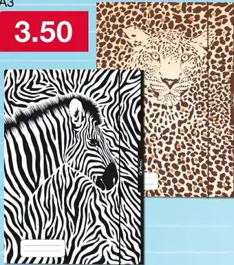 Woolworth Sammelmappe Angebot
