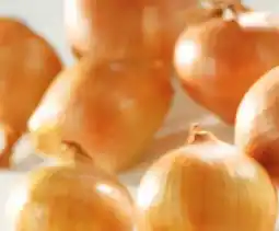 Spar Würziger Jungzwiebel Angebot