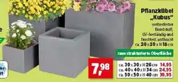 Thomas Philipps Pflanzkübel ,,Kubus Angebot