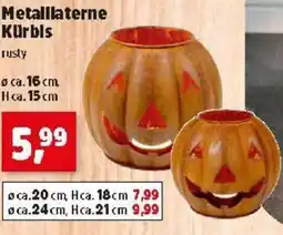 Thomas Philipps Metalllaterne Kürbis Angebot