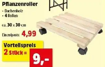 Thomas Philipps Pflanzenroller Angebot