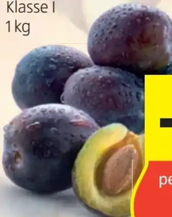 Hofer Zwetschken Angebot