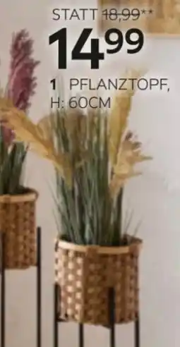 XXXLutz PFLANZTOPF Angebot