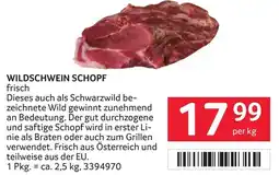 Transgourmet WILDSCHWEIN SCHOPF Angebot