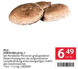 Transgourmet PILZ PORTO BELLO KL.1 Angebot