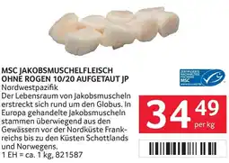 Transgourmet MSC JAKOBSMUSCHELFLEISCH OHNĚ ROGEN 10/20 AUFGETAUT JP Angebot