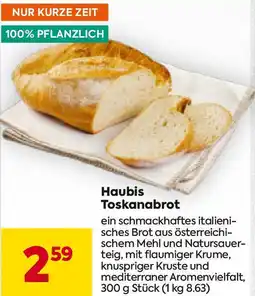 Billa Haubis Toskanabrot Angebot