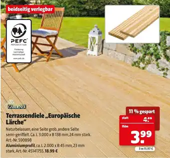 Hagebau Terrassendiele Europäische Lärche Angebot