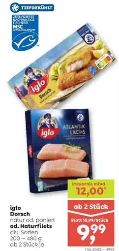 ADEG Iglo dorsch Angebot