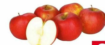 Transgourmet Äpfel Angebot