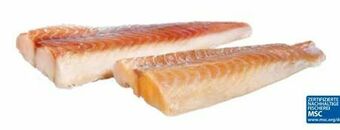 Transgourmet Alaska Seelachsfilet Angebot