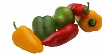 Transgourmet Paprika Mix Angebot