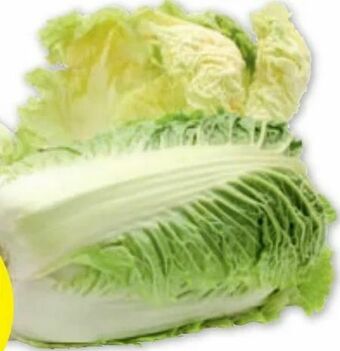 PENNY Chinakohl Angebot