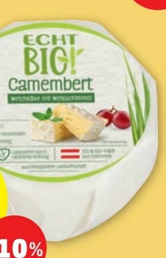 PENNY Camembert Angebot