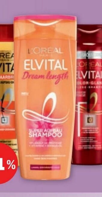 PENNY Elvital Shampoo Angebot