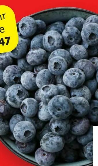 Lidl Heidelbeeren Angebot