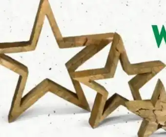 Bellaflora Weihnachten Sternengirlande Angebot