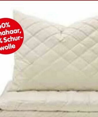 Interspar Polster Lama Angebot
