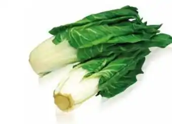 Transgourmet Pak Choi Angebot