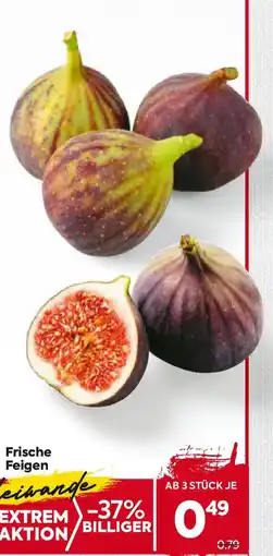 Billa Frische Feigen Angebot