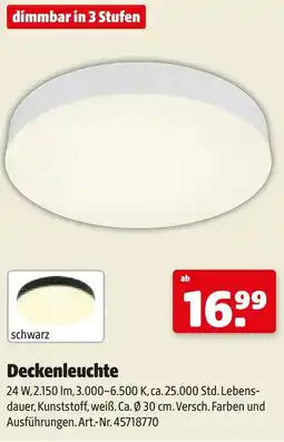 Hagebau Deckenleuchte Angebot