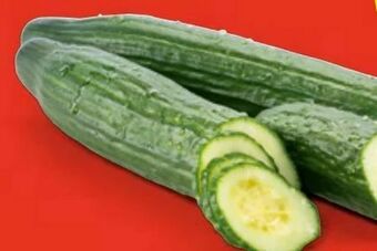 Hofer Gurken Angebot