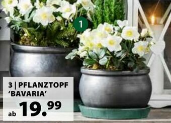 Dehner Pflanztopf Bavaria Angebot