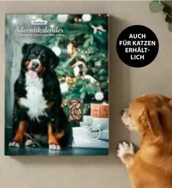 Adventskalender