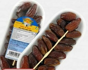 ETSAN Datteln Angebot