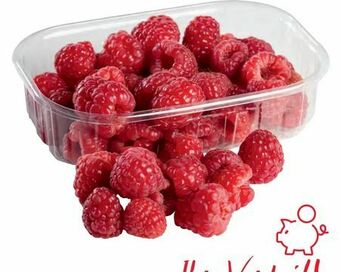 Transgourmet Himbeeren Angebot