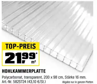 OBI Hohlkammerplatte Angebot