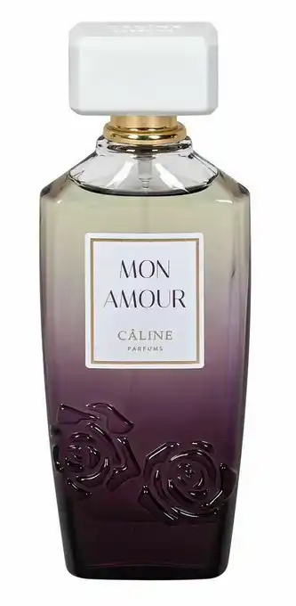 dm Mon amour EdP Angebot
