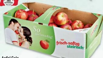 Metro Äpfel Gala Angebot